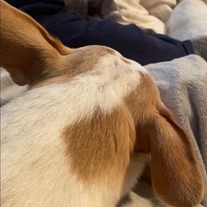 Meet your Posher, Kaitlyn